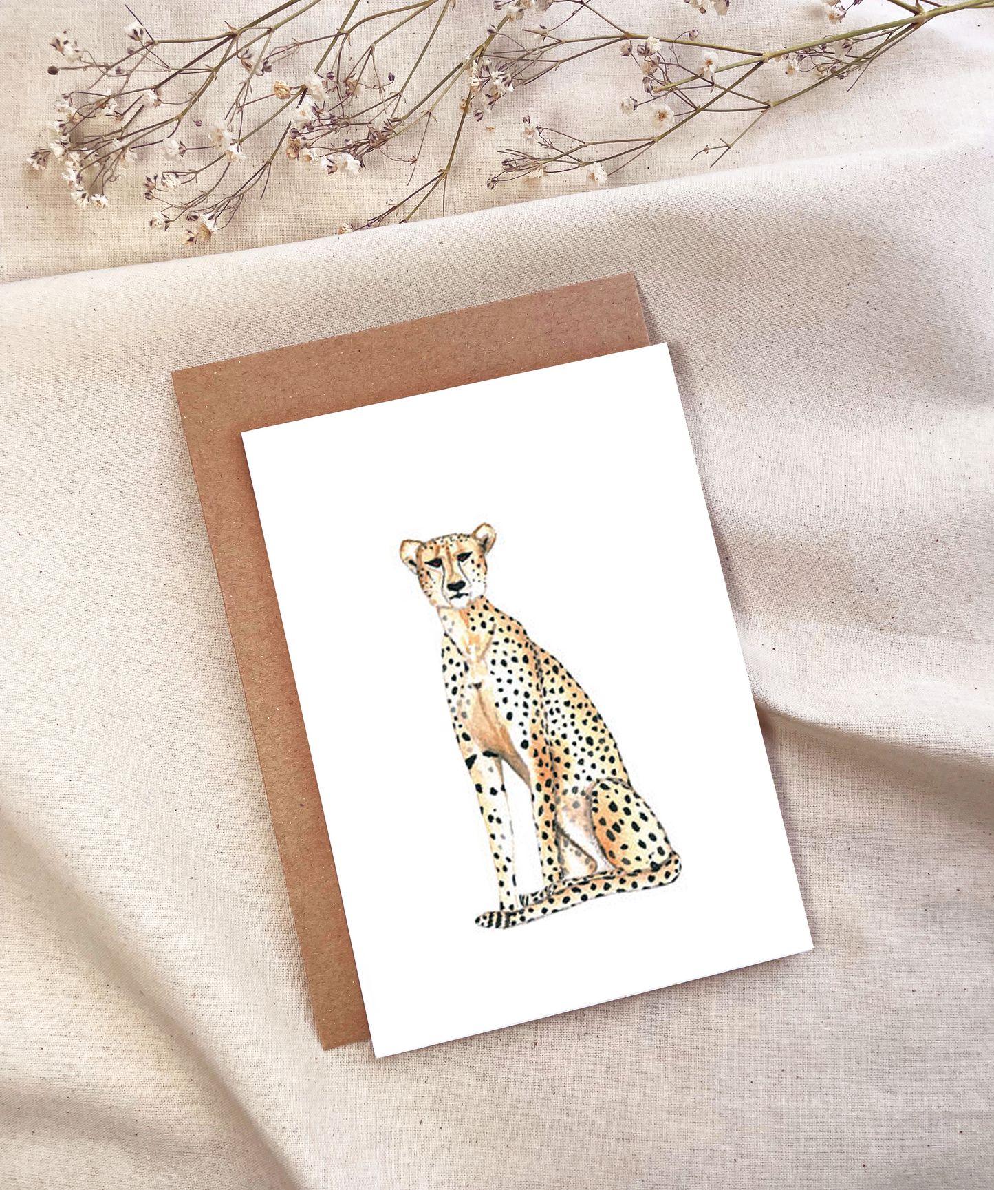 Cheetah
