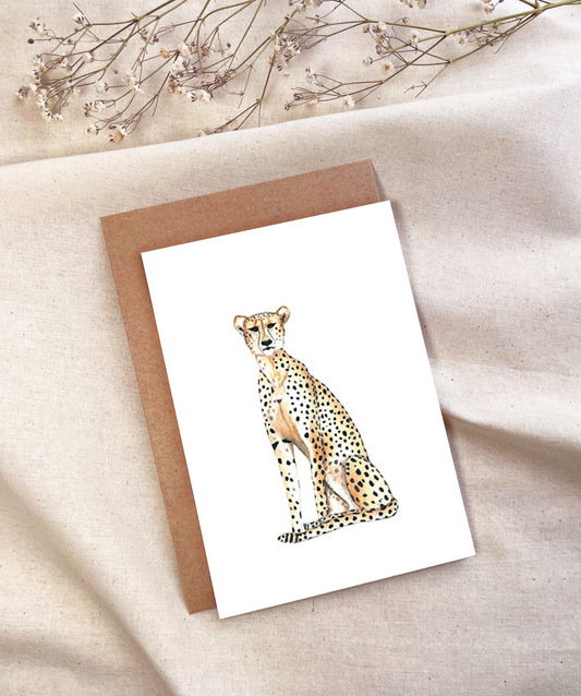 Cheetah