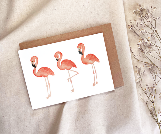 Flamingo's - 3 Amigo's