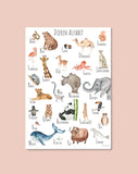 Dieren Alfabetposter